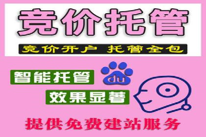 网站SEM托管优化策略及成功案例